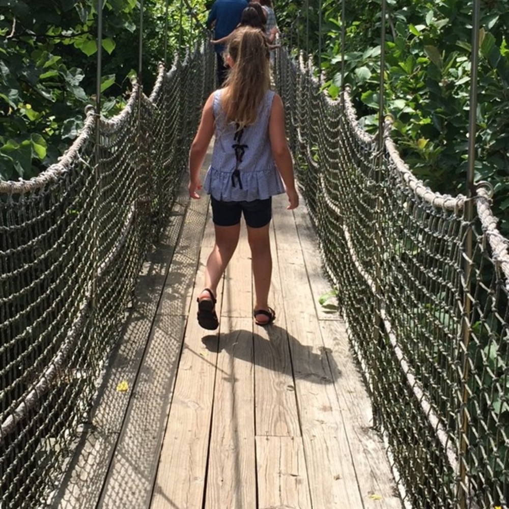 Meet your Posher, Alla